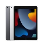 Apple iPad 10,2" 256 Go-Gris-sidéral-Wifi-9-ème-génération 2021
